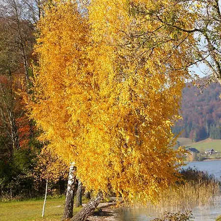 Ubytování v soukromí Haus Lisa